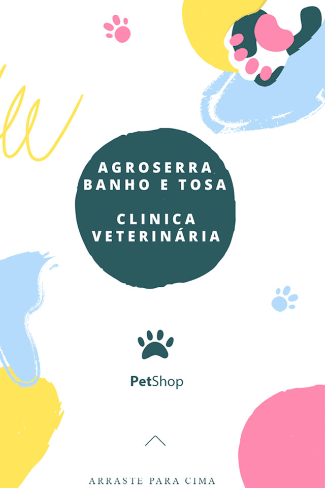 Criação de cards para mídias sociais