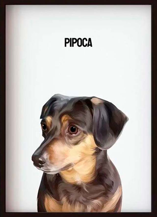 criação de cards para mídias